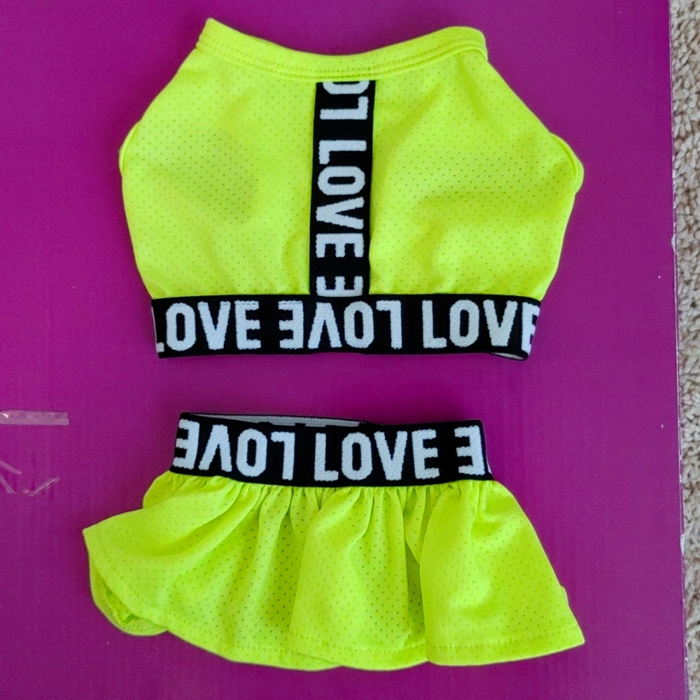 Two-piece pet outfit